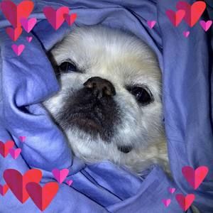 Meet your Posher, Debra